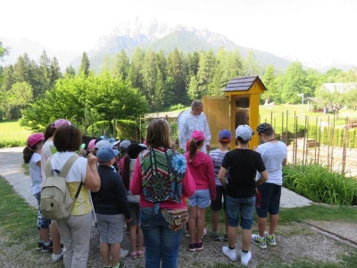 Čebelarstvo Toni, Bee-Toni