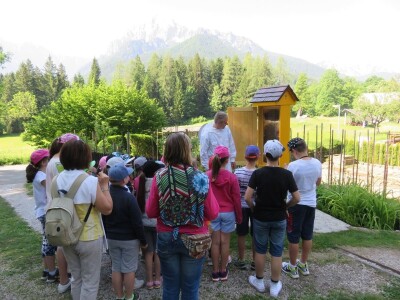 Čebelarstvo Toni, Bee-Toni