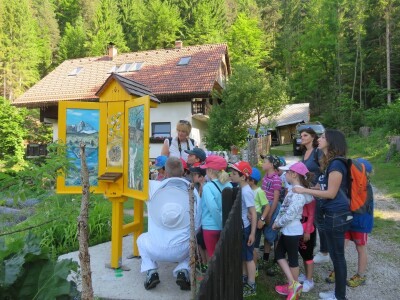 Čebelarstvo Toni, Bee-Toni