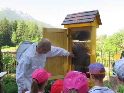 Čebelarstvo Toni, Bee-Toni