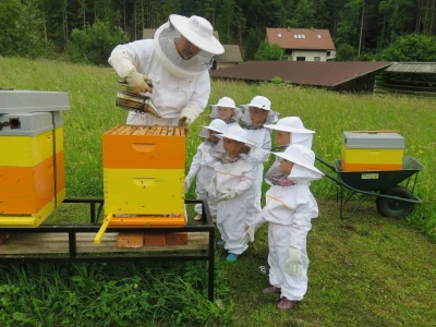 Čebelarstvo Toni, Bee-Toni