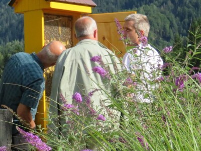 Čebelarstvo Toni, Bee-Toni