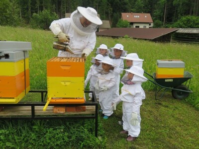 Čebelarstvo Toni, Bee-Toni