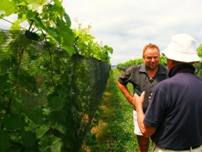 Čegec u obiteljskom vinogradu Čegec u obiteljskom vinogradu