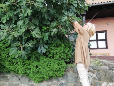 Centar za odgoj i obrazovanje Tuškanac