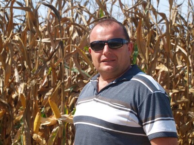 Centralni dan polja Bc hibrida kukuruza