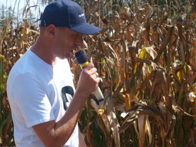 Centralni dan polja Bc hibrida kukuruza