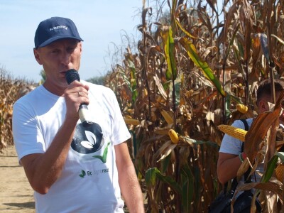 Centralni dan polja Bc hibrida kukuruza