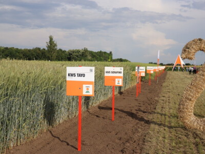 Centralni Dan polja i proslava 20 godina KWS-a