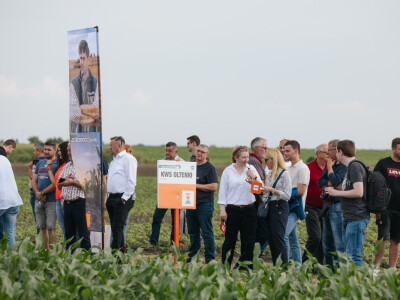 Centralni Dan polja i proslava 20 godina KWS-a