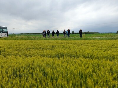 Centralni dan polja tvtrke Syngenta