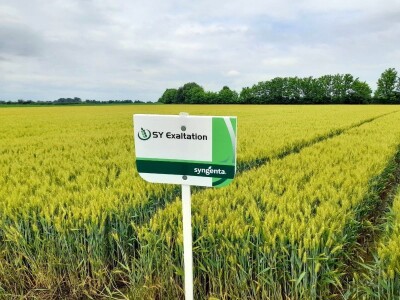 Centralni dan polja tvtrke Syngenta