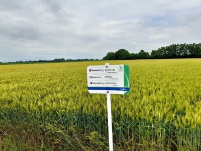 Centralni dan polja tvtrke Syngenta