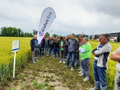 Centralni dan polja tvtrke Syngenta