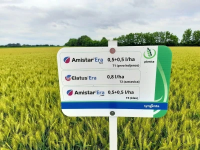 Centralni dan polja tvtrke Syngenta