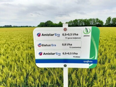 Centralni dan polja tvtrke Syngenta