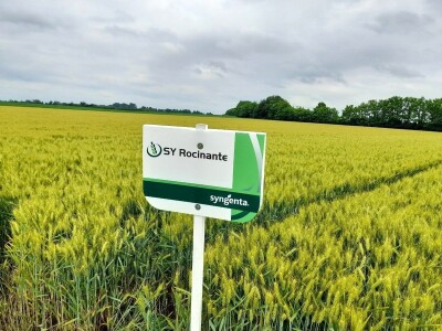 Centralni dan polja tvtrke Syngenta