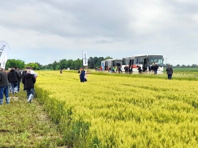 Centralni dan polja tvtrke Syngenta