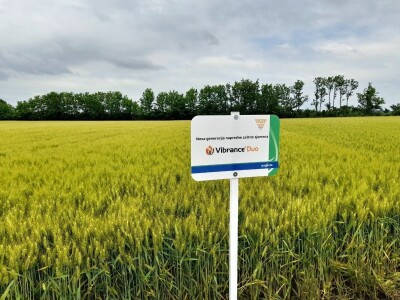 Centralni dan polja tvtrke Syngenta