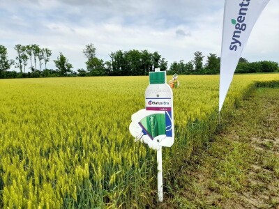 Centralni dan polja tvtrke Syngenta