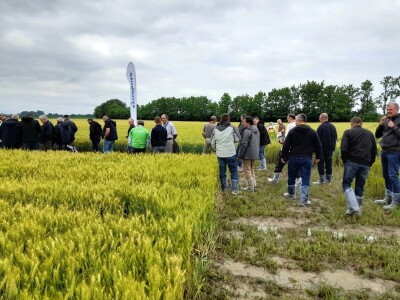 Centralni dan polja tvtrke Syngenta