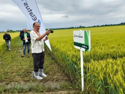 Centralni dan polja tvtrke Syngenta