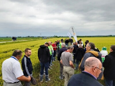 Centralni dan polja tvtrke Syngenta