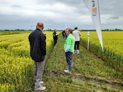 Centralni dan polja tvtrke Syngenta