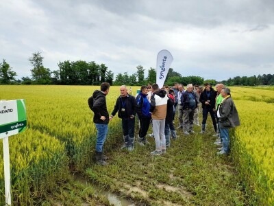 Centralni dan polja tvtrke Syngenta