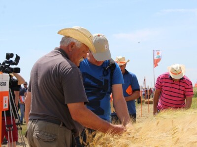 Centralni KWS dan polja