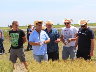 Centralni KWS dan polja