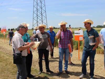 Centralni KWS dan polja