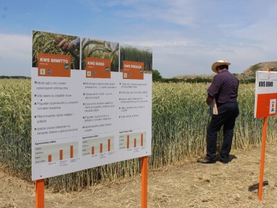 Centralni KWS dan polja