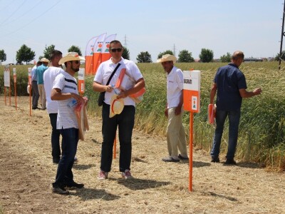 Centralni KWS dan polja