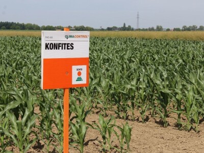 Centralni KWS dan polja