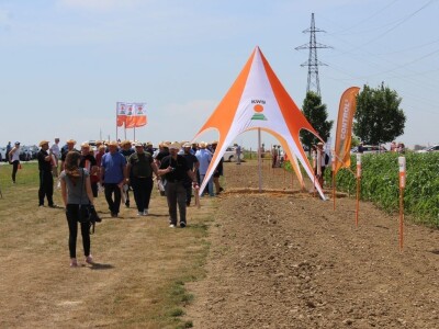 Centralni KWS dan polja