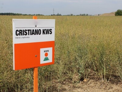 Centralni KWS dan polja