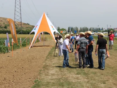 Centralni KWS dan polja
