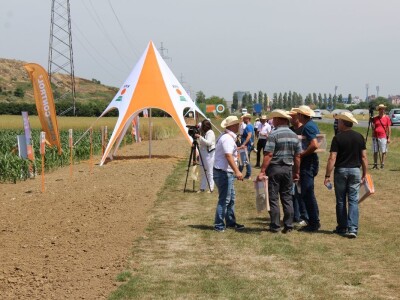 Centralni KWS dan polja