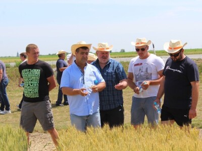 Centralni KWS dan polja