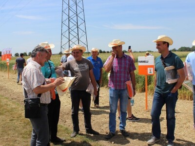 Centralni KWS dan polja