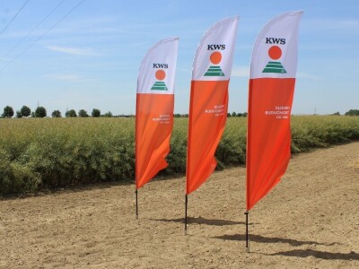 Centralni KWS dan polja