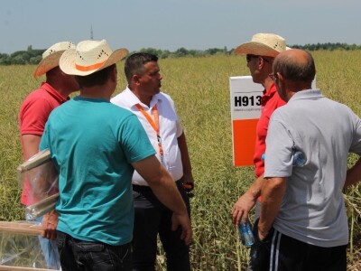 Centralni KWS dan polja