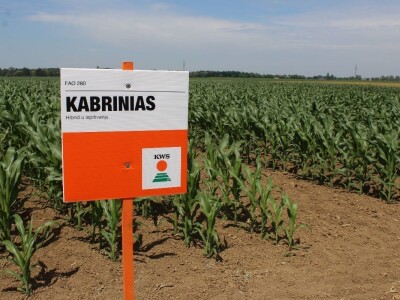 Centralni KWS dan polja