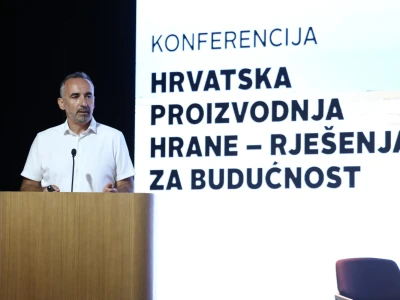 Kako smanjiti ovisnost o uvozu i stvoriti temelje za snažnije domaću proizvodnje?