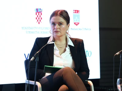 Kako smanjiti ovisnost o uvozu i stvoriti temelje za snažnije domaću proizvodnje?
