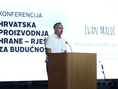 Kako smanjiti ovisnost o uvozu i stvoriti temelje za snažnije domaću proizvodnje?