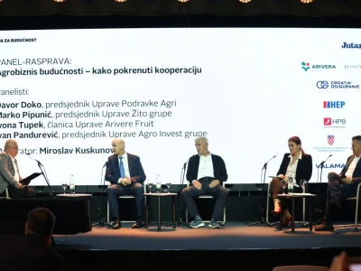 Kako smanjiti ovisnost o uvozu i stvoriti temelje za snažnije domaću proizvodnje?
