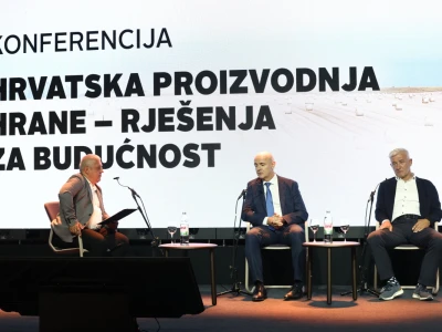 Kako smanjiti ovisnost o uvozu i stvoriti temelje za snažnije domaću proizvodnje?