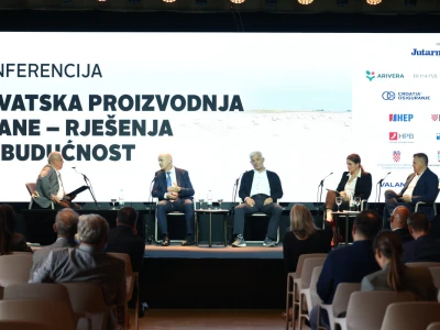 Kako smanjiti ovisnost o uvozu i stvoriti temelje za snažnije domaću proizvodnje?